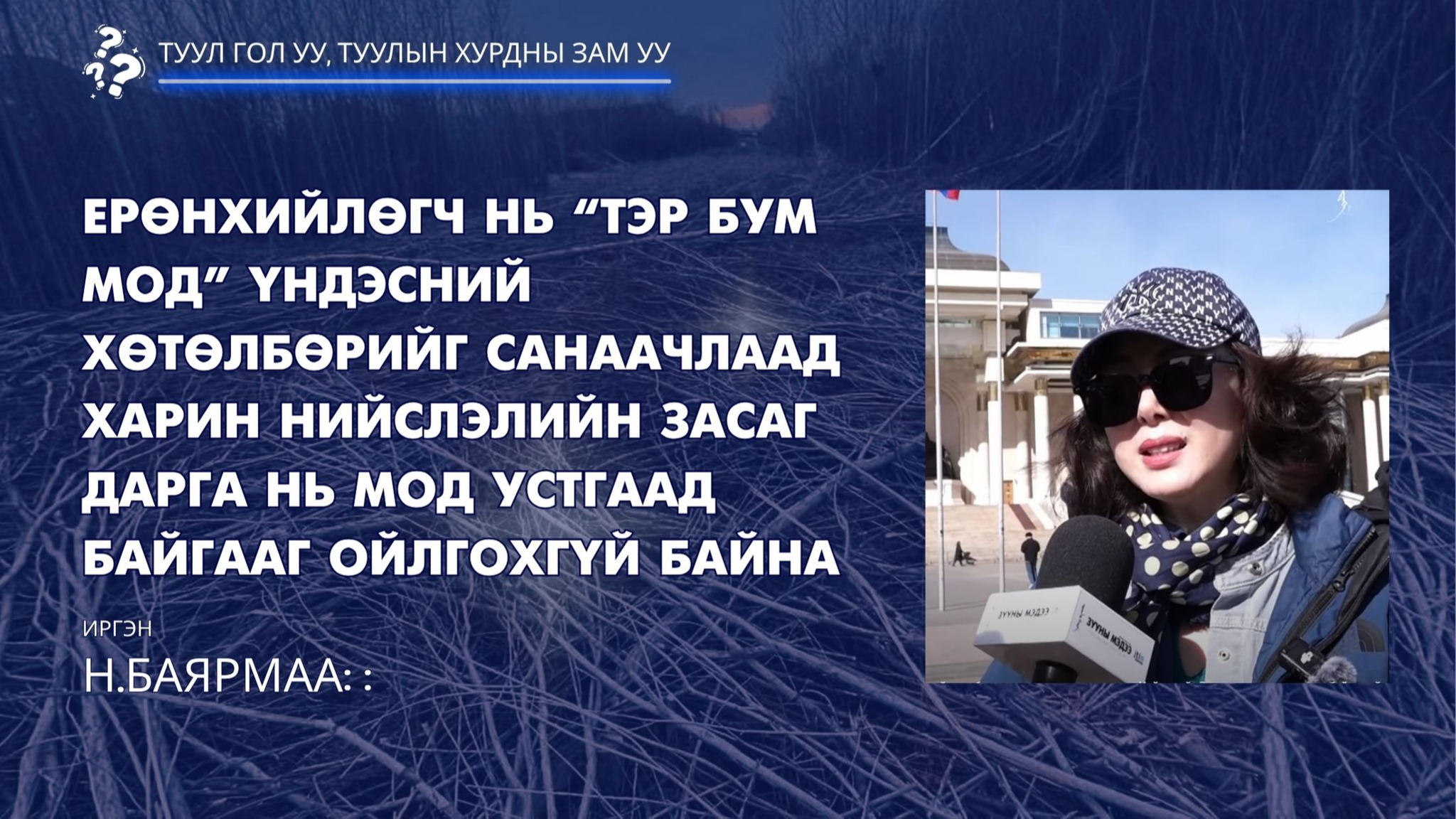 Иргэн н.Баярмаа: Ерөнхийлөгч нь “Тэр бум мод” үндэсний хөтөлбөрийг санаачлаад харин Нийслэлийн Засаг дарга нь мод устгаад байгааг ойлгохгүй байна