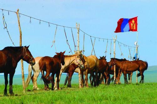 Хурдан адууны туурай нь хумбан байдаг