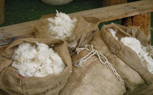 Hоолуурын 100 мянгаа авъя