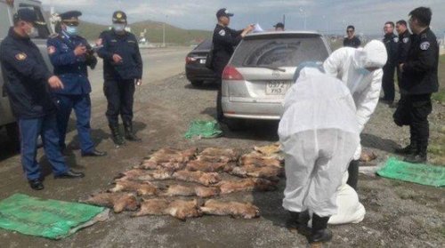 Тосонцэнгэл сум руу орох хөдөлгөөнийг хаалаа