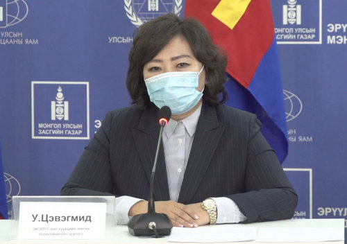 У.Цэвэгмид:Томуугийн вирус бүх насны хүн амыг өвчлүүлэх эрсдэлтэй