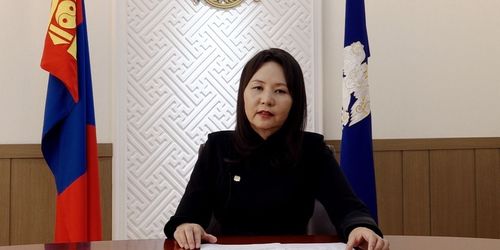 Д.Мөнхжаргал: Түүхий нүүрс түлж буй эсэхэд хяналт тавин ажиллаж байна