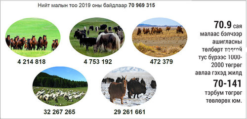 Малын хөлийн татвар жилд 70-141 тэрбум төгрөг төвлөрүүлнэ