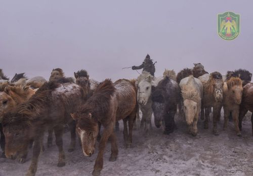 Хилчид шуурганд төөрсөн иргэнийг аварлаа
