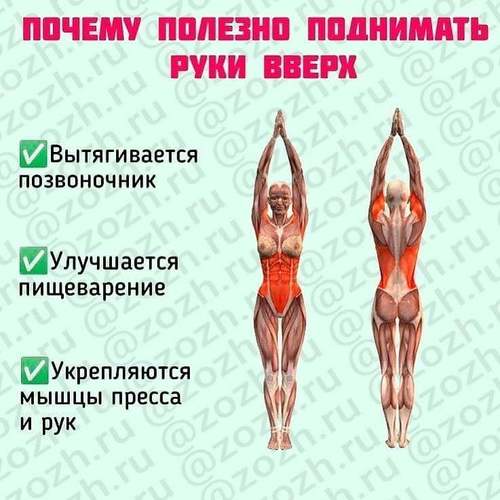 Яагаад гараа дээш нь өргөх нь сайн бэ?