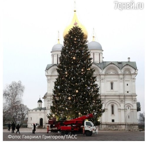 Дэлхийн улс орнуудын шилдэг 15 гацуур