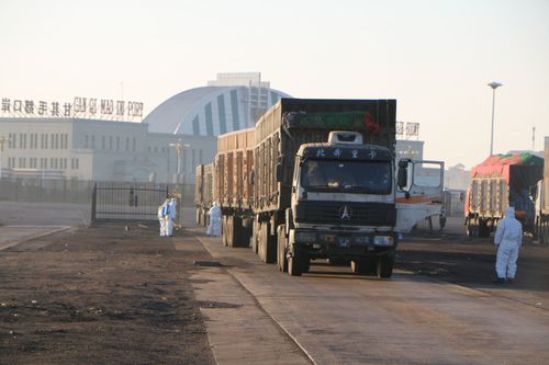 Шивээхүрэн боомтоор өдөрт 300-400 тээврийн хэрэгсэл нүүрс тээвэрлэж байна