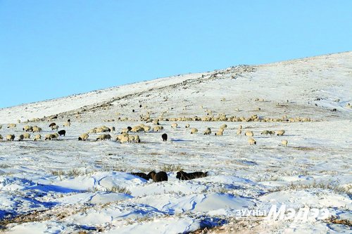 ЦУОШГ: Даваа гаригаас хүйтний эрч чангарна