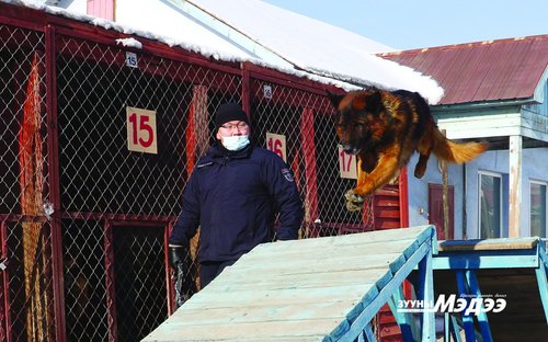 Эх орны үнэнч хамгаалагч Эрэлч ноход
