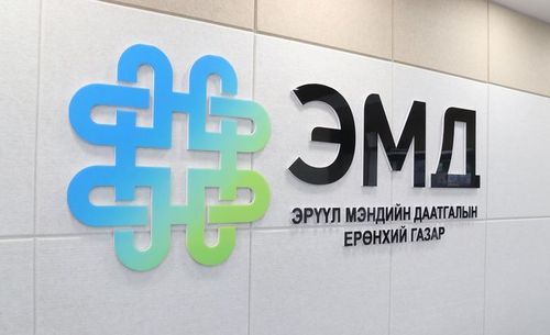 ЭМДЕГ:13-ын A маягтыг цахимд шилжүүлэхээр ажиллаж байна