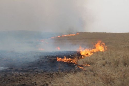 Дарьганга сумын нутагт гарсан түймрийг цурманд оруулжээ