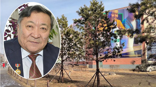 Б.Чимэд: Ойгоос авчирсан бүх мод маань ургасан