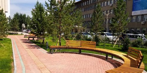 АШУҮИС-ийн авто зогсоолыг ногоон байгууламж болголоо
