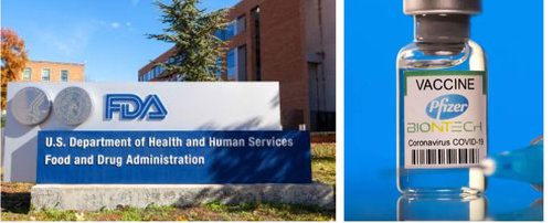 АНУ Pfizer вакцинд албан ёсны зөвшөөрлөө олголоо
