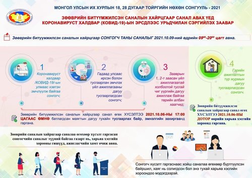 Нөхөн сонгууль: Зөөврийн битүүмжилсэн хайрцгаар хэн, хэрхэн санал өгөх вэ