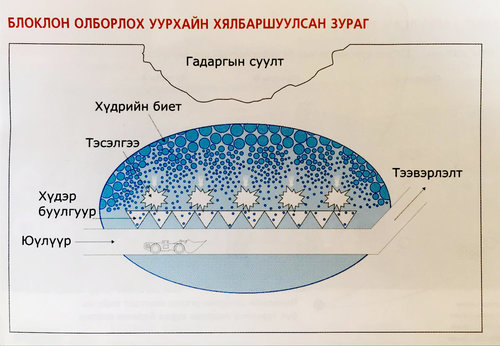 Блоклон олборлолтыг нэг эхлүүлсэн бол зогсоох боломжгүй