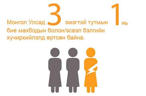 Зан үйлд нөлөөлөх албадан сургалтын санхүүжилтийг нэмэгдүүлье