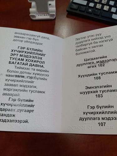 Гэр бүлийн хүчирхийллийн мэдээллийг анх удаа 