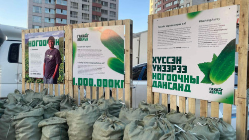 1.000.000 кг гахайг аваръя!
