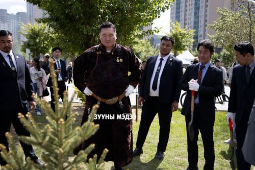 Гэрэлт хөшөөний дэргэд мод тарилаа