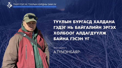 А.Түмэнбаяр: Туулын бургасд халдана гэдэг нь байгалийн эргэх холбоог алдагдуулж байна гэсэн үг